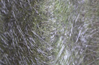 Berwick St James fibreglass roof work